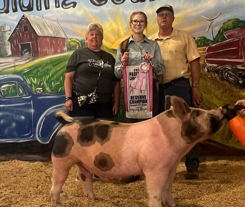 RESERVE CHAMPION OVERALL MARKET HOG – 2024 Paulding County Fair, OH