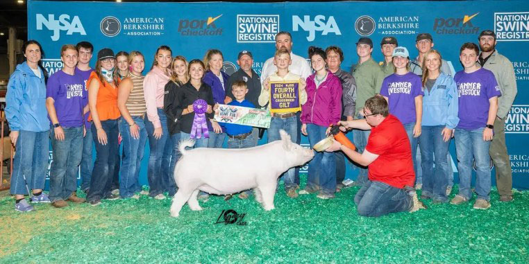 4TH OVERALL CROSSBRED GILT, CHAMPION LiGHT CROSS – 2024 NJSS
