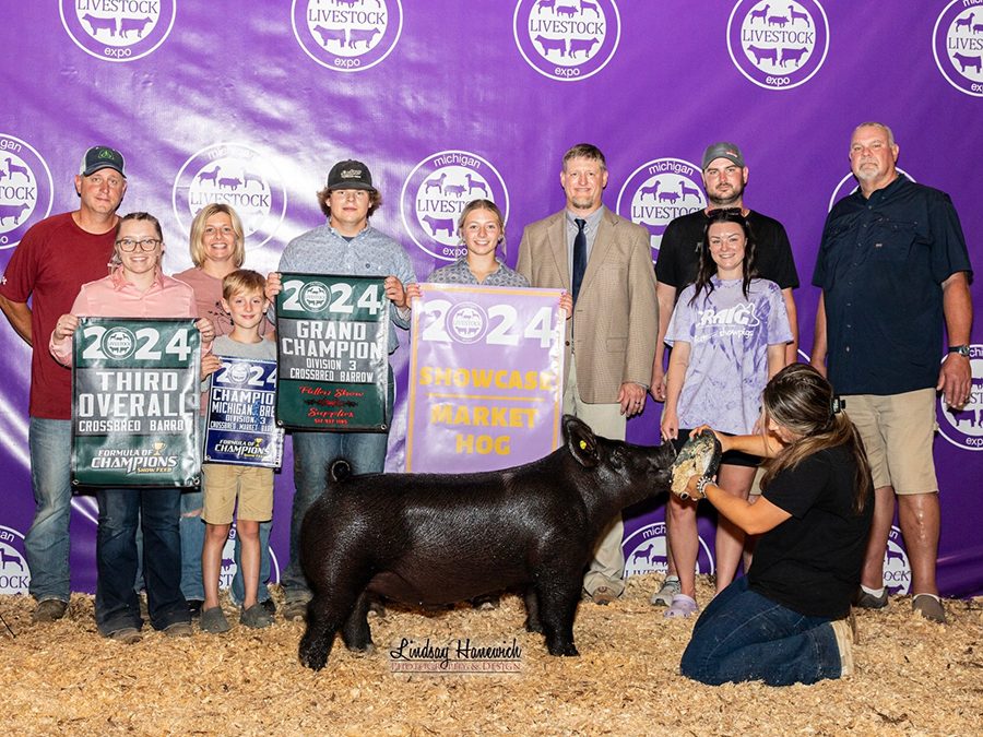 8th OVERALL, 3RD OVERALL CROSS BARROW, 2024 Michigan Livestock Expo