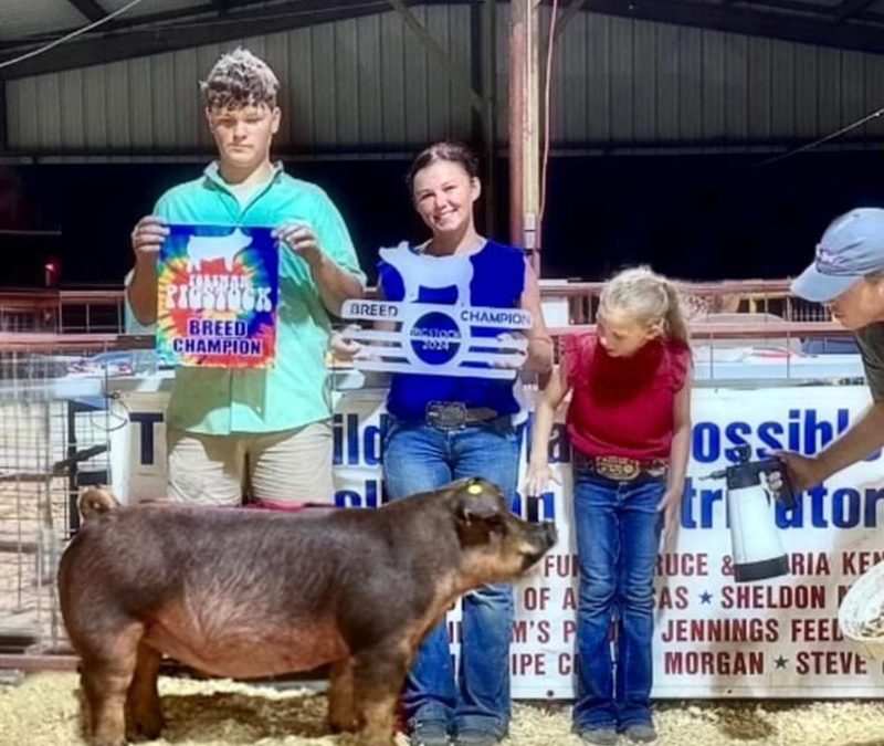 BREED CHAMPION DUROC, 2024 Foreman Pigstock