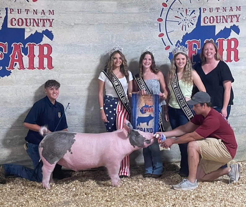 GRAND CHAMPION OVERALL MARKET HOG, 2024 Putnam Co, WV