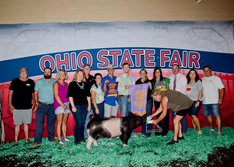 RESERVE GRAND OVERALL MARKET GILT, 2024 Ohio State Fair