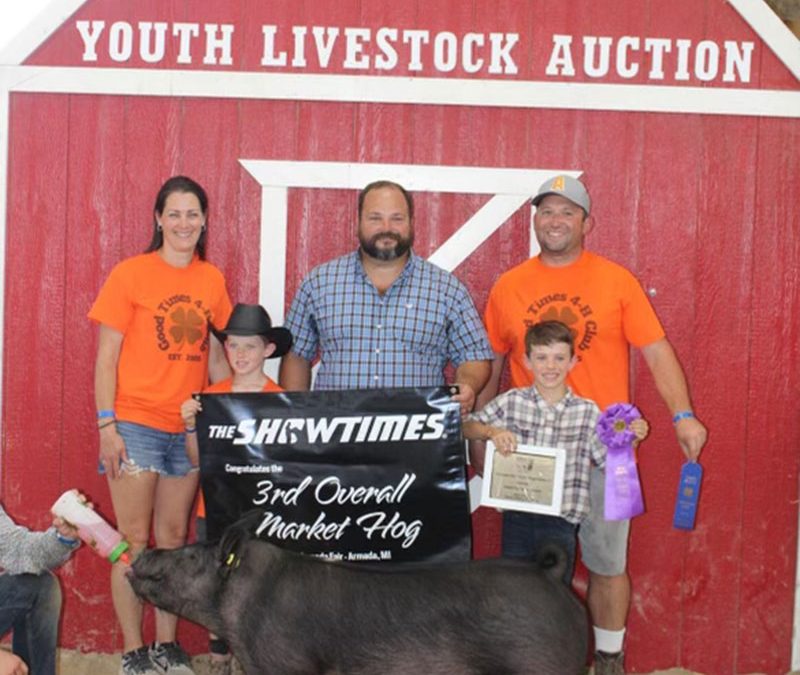 3RD OVERALL, CHAMPION BARROW, 2024 Armada County Fair, MI