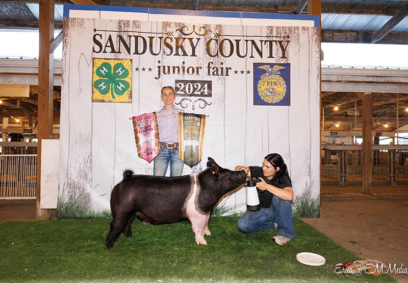 3RD OVERALL, 2024 Sandusky County Fair, OH