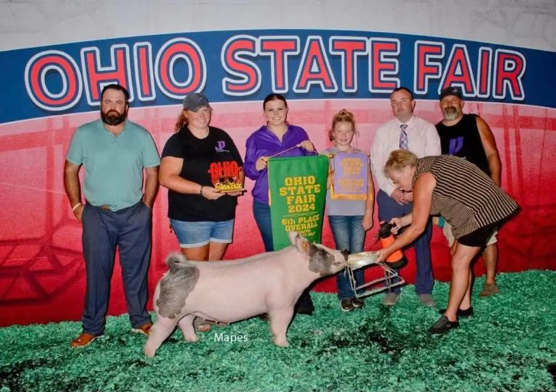 6TH OVERALL MARKET GILT,  2024 Ohio State Fair