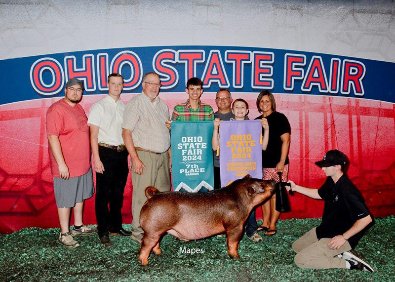 7TH OVERALL MARKET BARROW, RESERVE OVERALL DUROC BARROW,  2024 Ohio State Fair Open Show