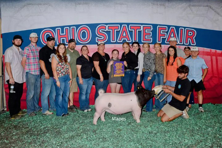 CHAMPION D1 DARK CROSS,  2024 Ohio State Fair JR Show