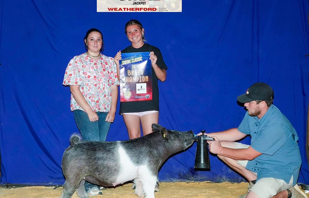 CHAMPION GILT, 2024 Ninnekah and Weatherford, OK