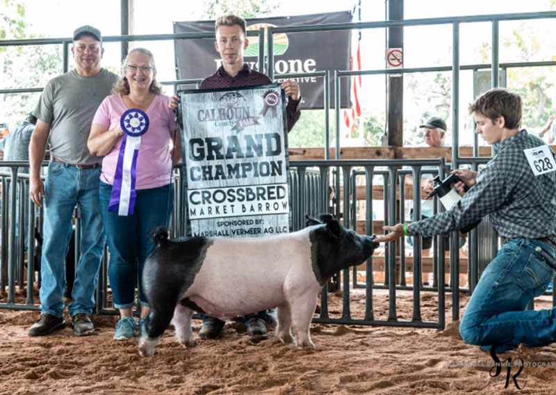 GRAND CHAMPION BARROW, 2024 Calhoun County Fair, MI