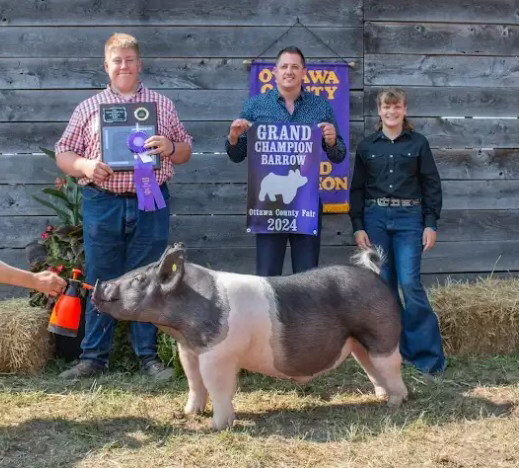 GRAND CHAMPION OVERALL BARROW, 2024 Ottawa County, MI