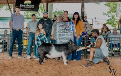 RESERVE BARROW, 2024 Calhoun County Fair, MI