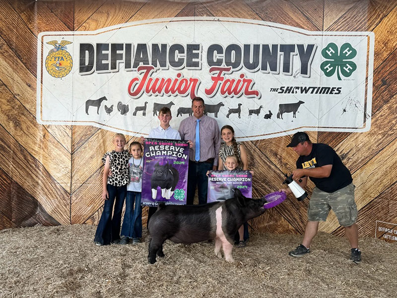 RESERVE BARROW OPEN SHOW, 2024 Defiance County Fair, OH