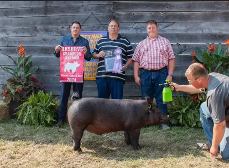 RESERVE GRAND CHAMPION OVERALL BARROW, 2024 Ottawa County, MI