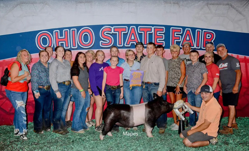 RESERVE CHAMPION D1 CROSS,  2024 Ohio State Fair
