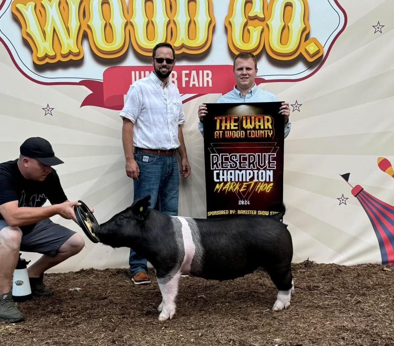 MARKET HOG OVERALL, 2024 Wood County Open Show, OH