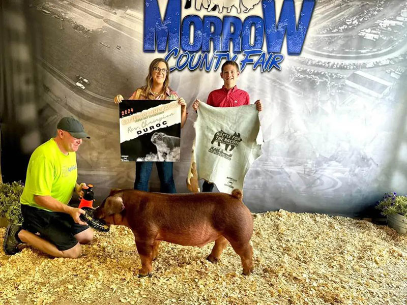 5TH OVERALL MARKET HOG,  2024 Battle for the Bacon Showdown, OH