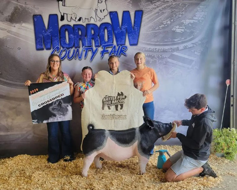 GRAND OVERALL MARKET HOG,  2024 Battle for the Bacon Showdown, OH