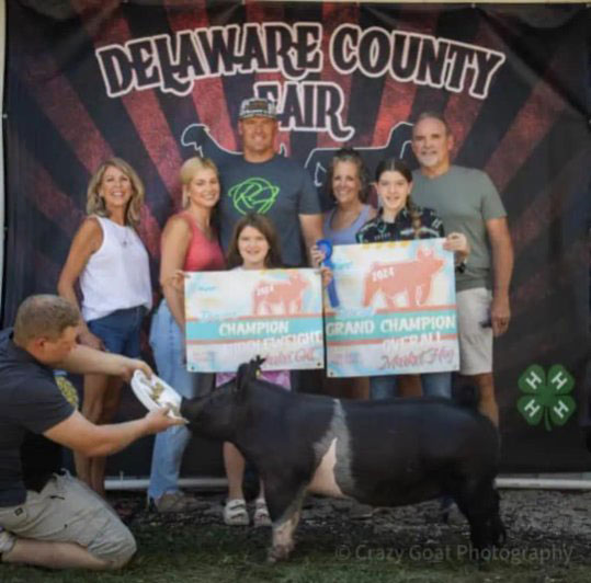 RESERVE CHAMPION OVERALL MARKET GILT,  2024 Delaware County, OH