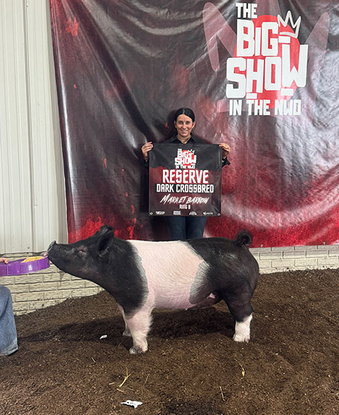 RESERVE DARK CROSS BARROW – RING B,  2024 The Big Show In The NWO, OH