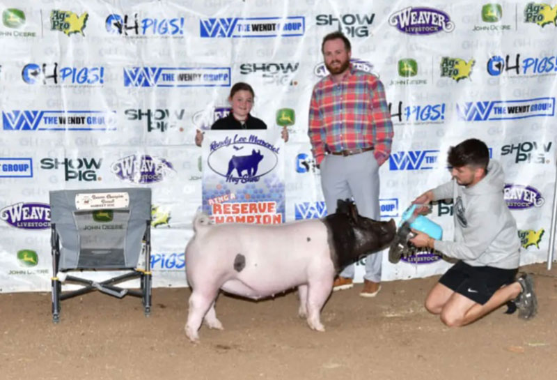 RESERVE GRAND OVERALL BREEDING GILT,  2024 Randy Lee Memorial, OH