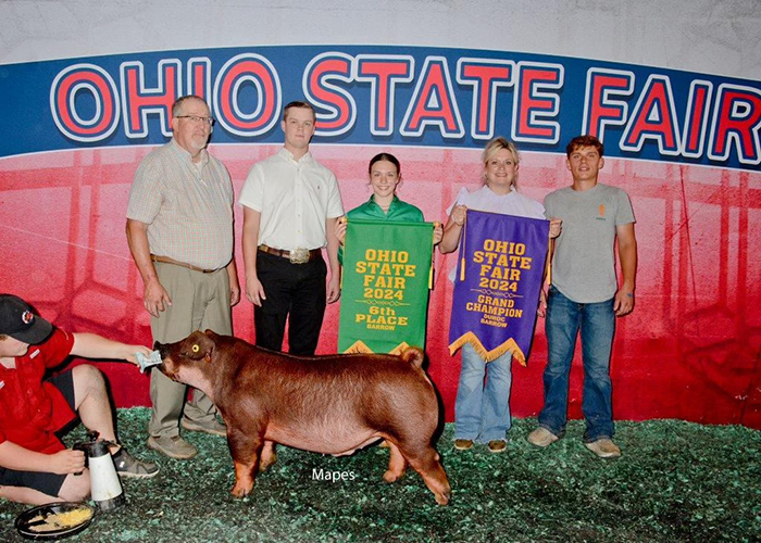 6TH OVERALL AND CHAMPION DUROC, 2024 The Ohio State Fair Open Show
