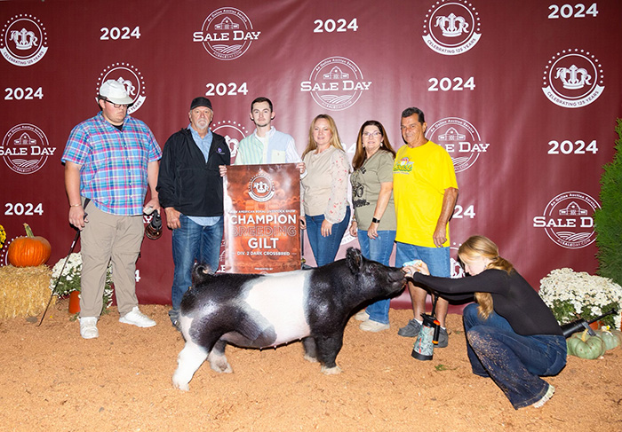 CHAMPION DARK CROSS DIVISION 2, 2024 American Royal Breeding Gilts