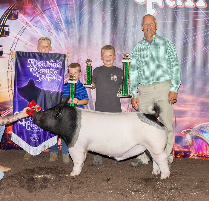 GRAND CHAMPION OVERALL MARKET HOG, 2024 Highland County Fair, OH