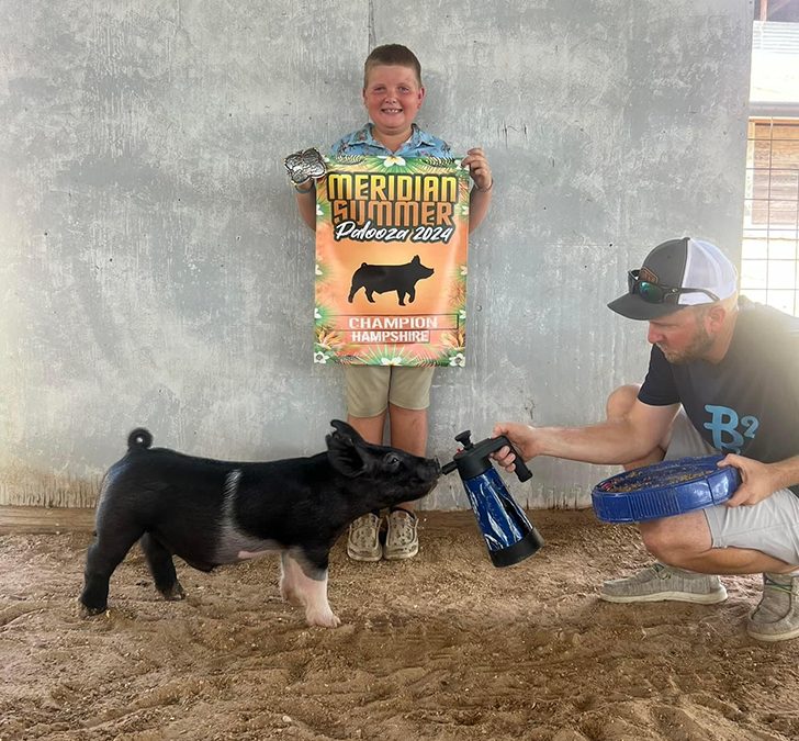 CHAMPION HAMP, 2024 Meridian Summer Palooza, TX