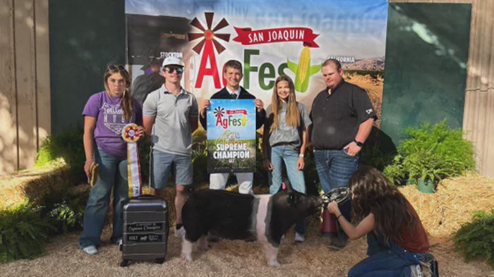 RESERVE CHAMPION BREEDING GILT, 2024 Ag Fest, CA