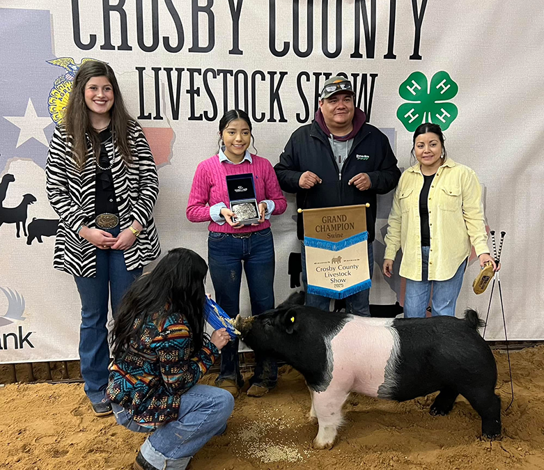 GRAND CHAMPION OVERALL, 2025 Crosby County, TX