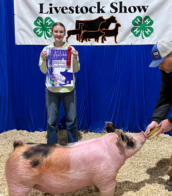 RESERVE CHAMPION D1 GILT, 2025 Central Region 4-H Livestock Show, TN