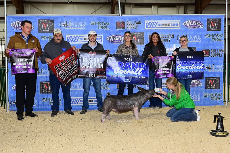 RESERVE CHAMPION LIGHT CROSS – SATURDAY, RING A AND SUNDAY –  RING A,  2025 Battle of the Buckey, OH