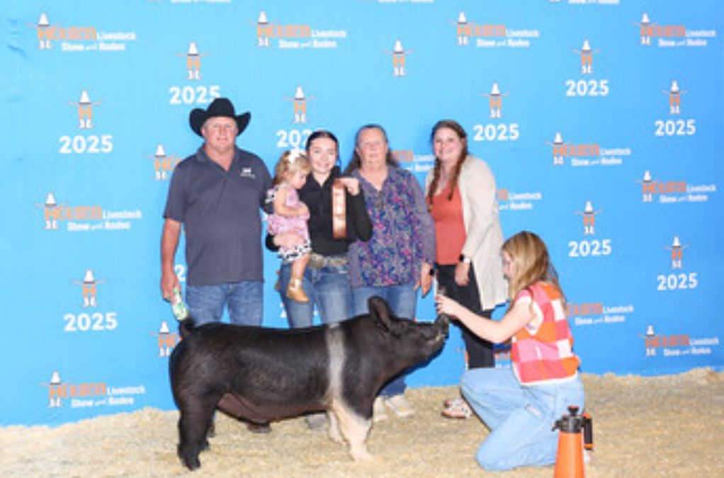 SALE MAKER,  2025 Houston Livestock Show & Rodeo