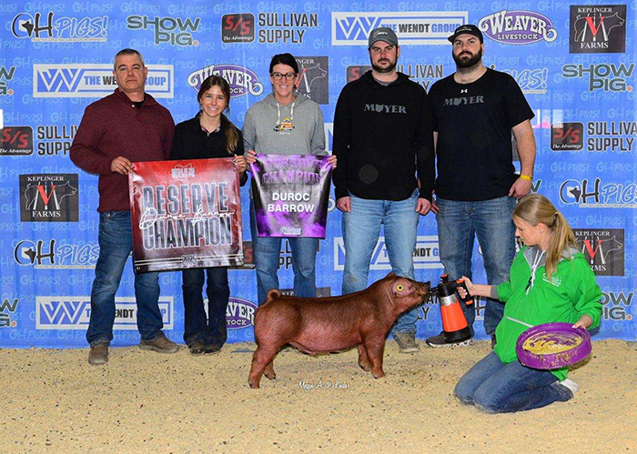 RESERVE CHAMPION DUROC BARROW, SUNDAY RING A ,  2025 Battle of the Buckey, OH