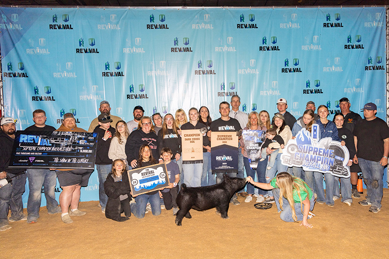 GRAND CHAMPION OVERALL SHOW A,  2025 The Revival, CA