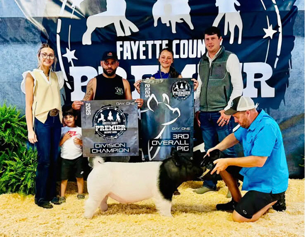 3RD OVERALL MARKET HOG, 2025 Fayette Co Premier, PA