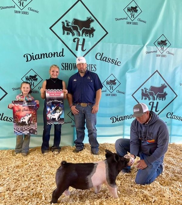 5TH OVERALL AND RESERVE BREED CHAMPION, 2025 Diamond H Classic