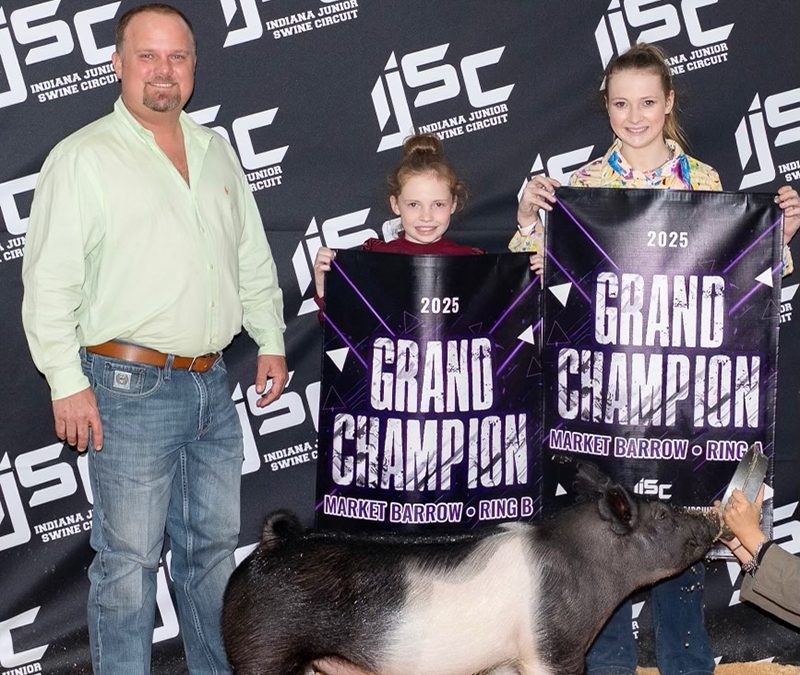 GRAND OVERALL MARKET HOG,  2025 IJSC Showpig/ Pig Planet Kickoff, IN
