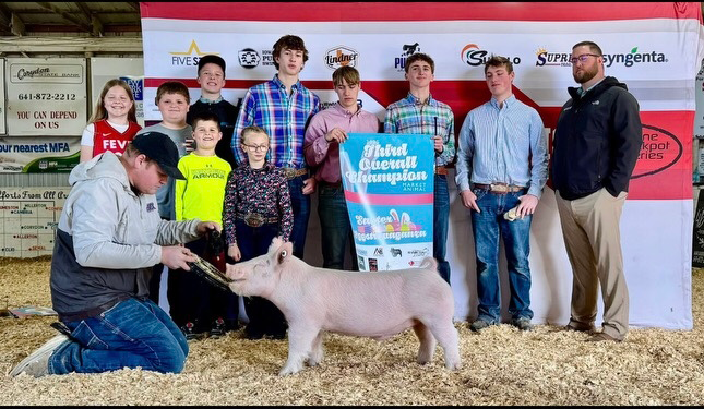 GRAND CHAMPION LIGHT CROSS and 3RD OVERALL BARROW , 2025 Easter Eggstravaganza, IA