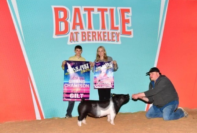 RESERVE CHAMPION BREEDING GILT,  2025 Battle At Berkeley