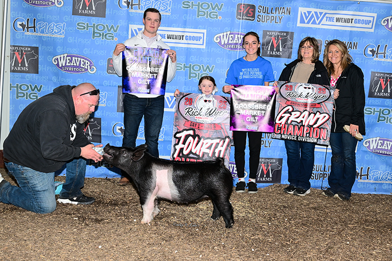 CHAMPION MARKET GILT, 2025 Rumble on the River, IA