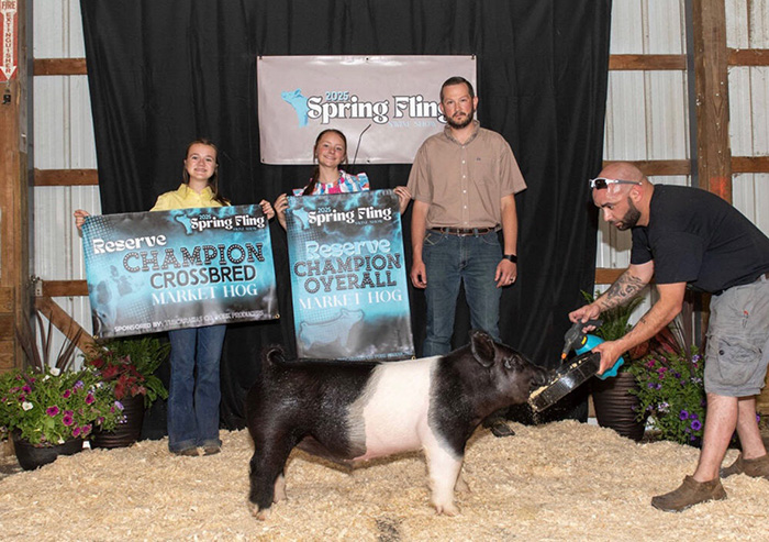 RESERVE GRAND OVERALL MARKET HOG, 2025 Spring Fling, OH