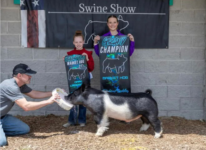 GRAND OVERALL MARKET HOG, 2025 Richard Oakley Memorial Swine Show, IN