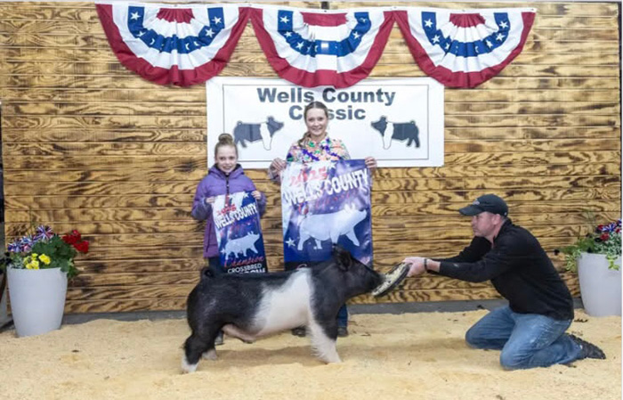 GRAND OVERALL MARKET HOG, 2025 Wells County Classic, IN