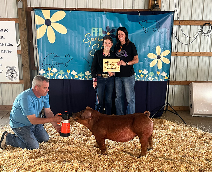 RESERVE CHAMPION DUROC, 2025 FFA Spring Swine Showdown, MI