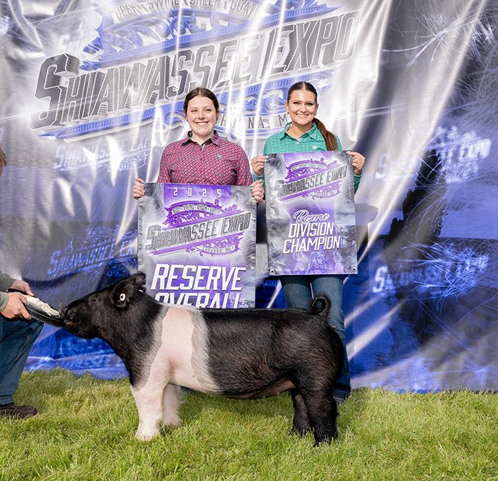RESERVE CHAMPION MARKET HOG, 2025 Shiawassee Expo, MI