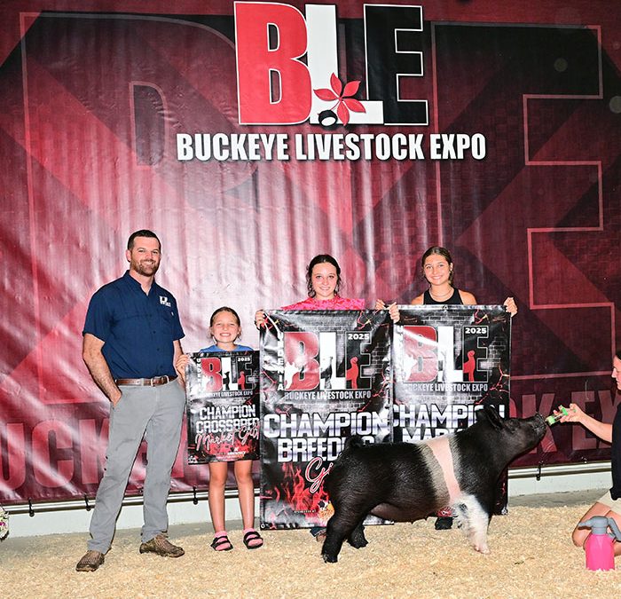 GRAND CHAMPION BREEDING GILT,  GRAND CHAMPION MARKET, BOTH DAYS, 2025 Buckeye Livestock Expo