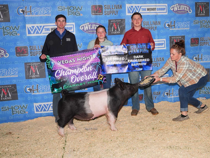 GRAND CHAMPION OVERALL MARKET HOG, 2025 Clark County Vegas Nights, OH