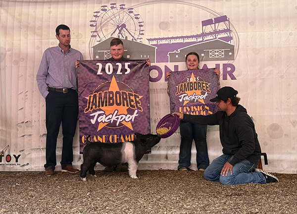 GRAND CHAMPION MARKET HOG, 2025 Indiana Jamboree, PA