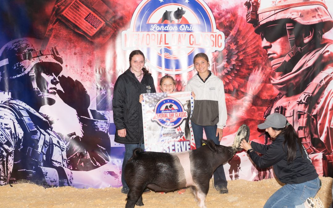 CHAMPION MARKET GILT & RESERVE MARKET HOG, Friday Night Lights Memorial Day Classic
